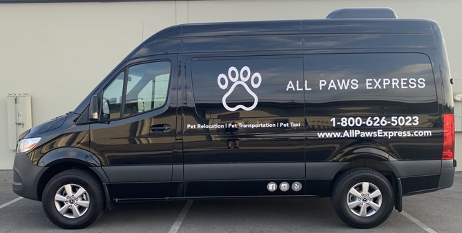 Sprinter Van Decals