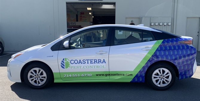 Partial Car Wrap