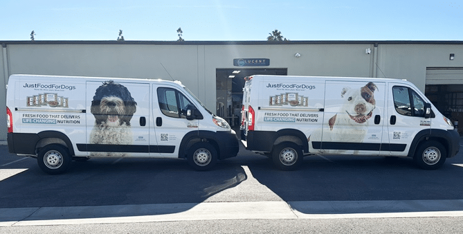 Partial Van Wrap